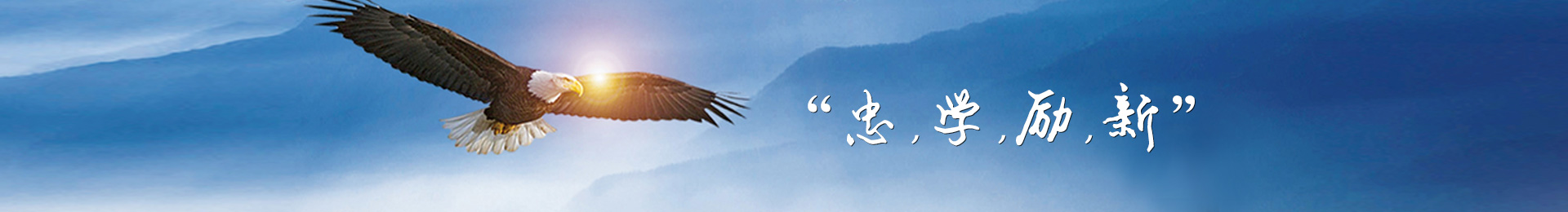 Banner003